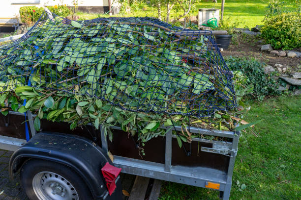 Best Construction Debris Removal  in Flat Rock, MI